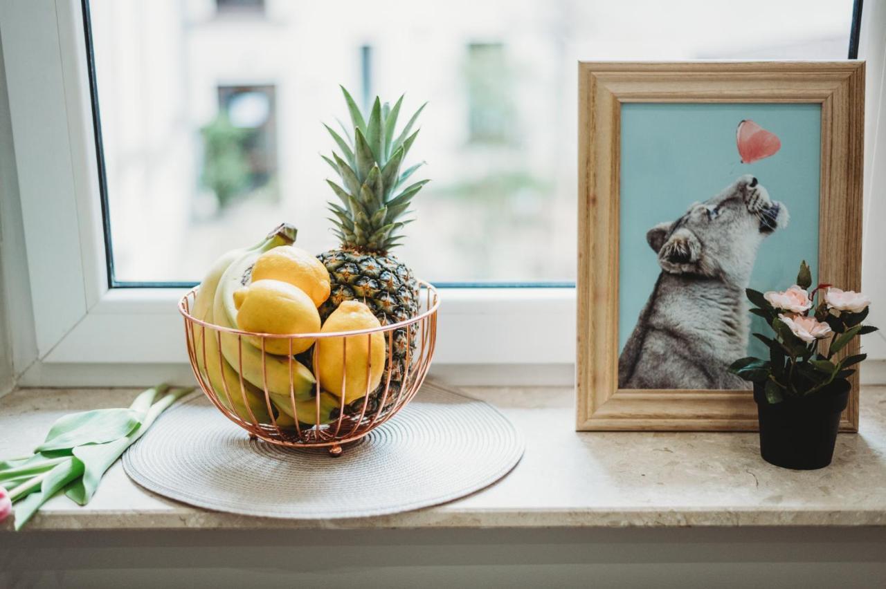 Fatcat Apartments クラクフ エクステリア 写真
