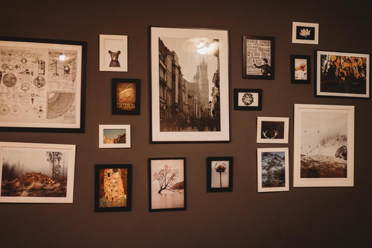 Fatcat Apartments クラクフ エクステリア 写真