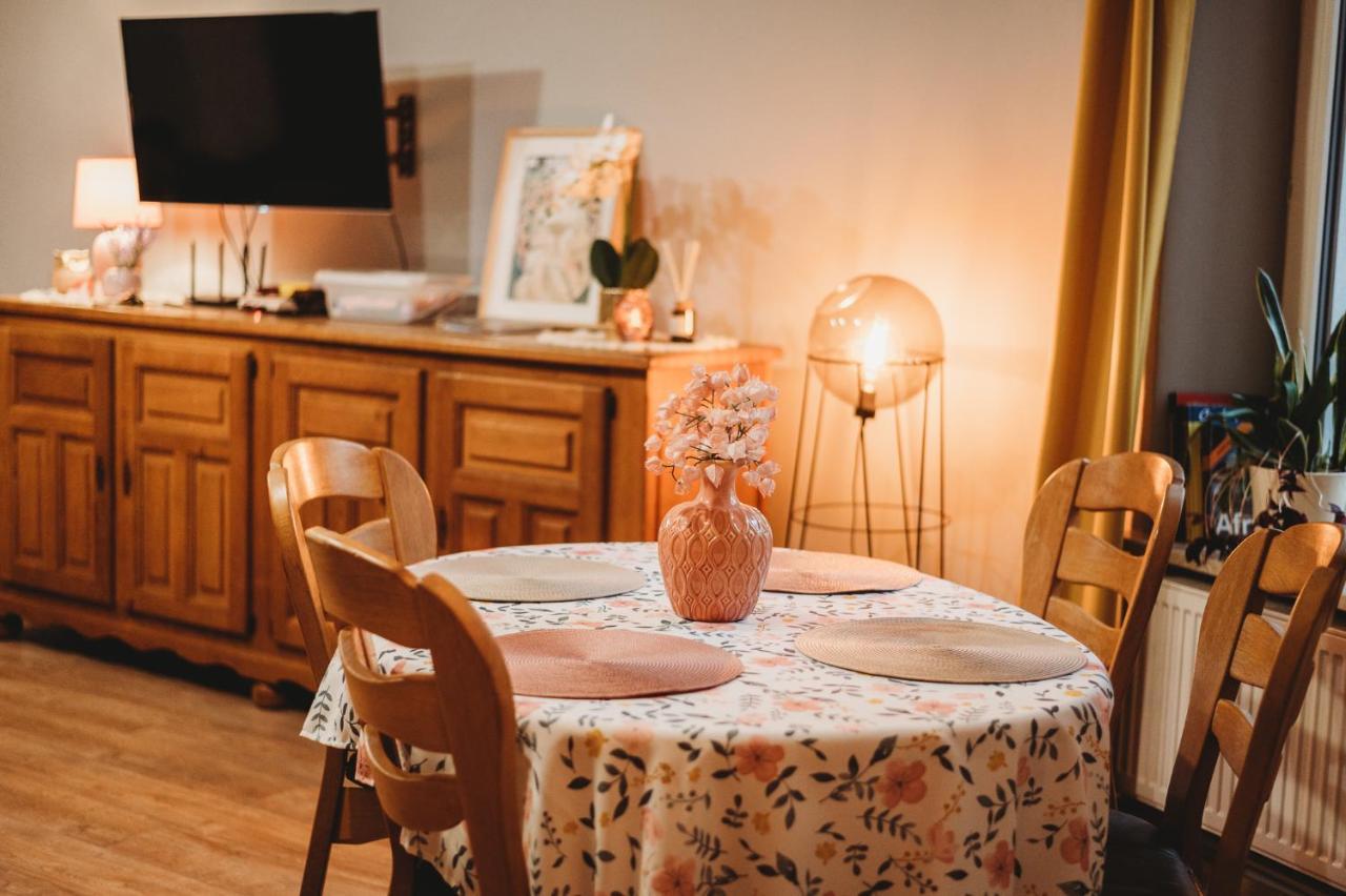 Fatcat Apartments クラクフ エクステリア 写真